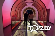 Экспозиция &quot;Музей войны – территория мира&quot; в Брестской крепости